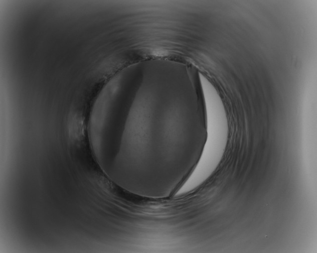 X0000088690555200706141414