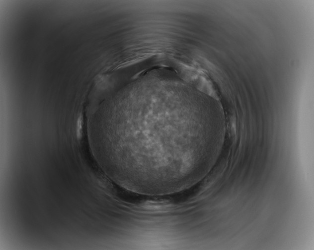 X0000088690556200706141414