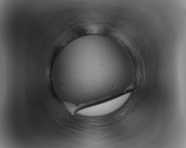 X0000088690557200706141414