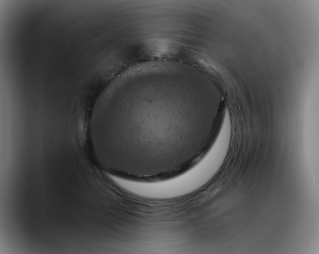 X0000088690558200706141414