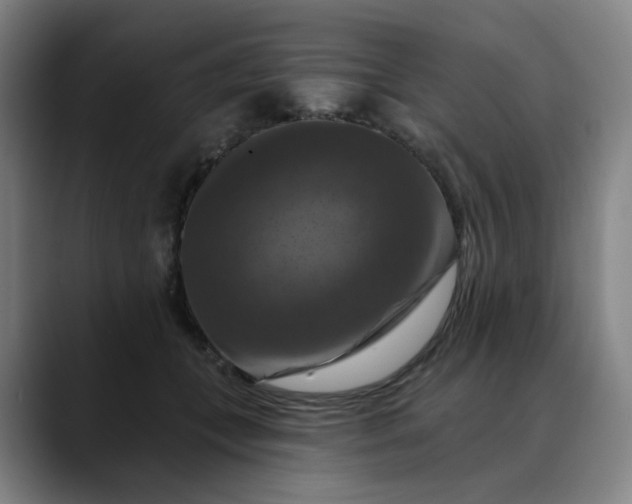 X0000088690559200706141414