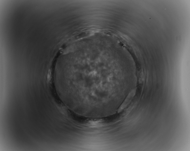 X0000088690560200706141414