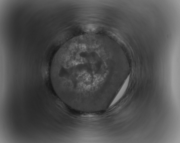 X0000088690561200706141414