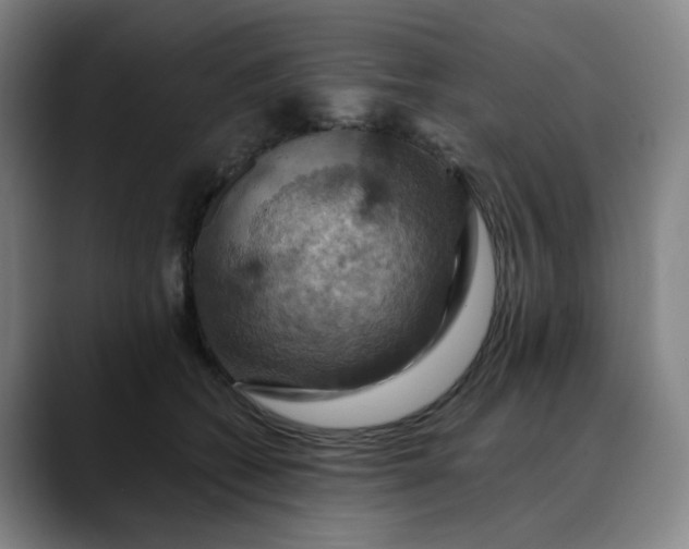 X0000088690562200706141414