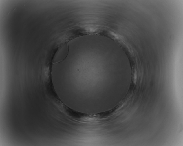 X0000088690563200706141414