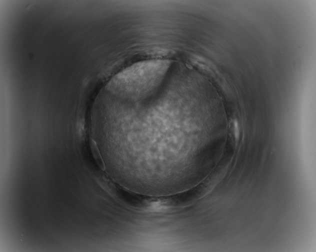 X0000088690564200706141414