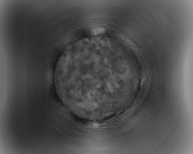 X0000088690565200706141414