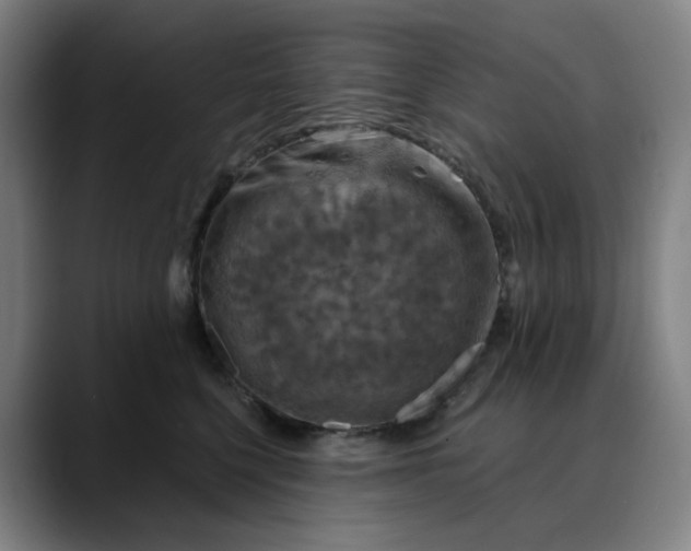 X0000088690568200706141414