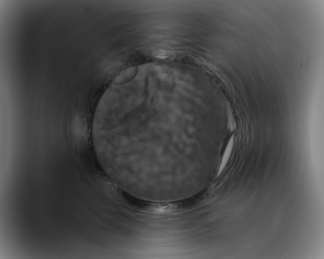X0000088690569200706141414