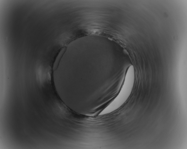 X0000088690570200706141414
