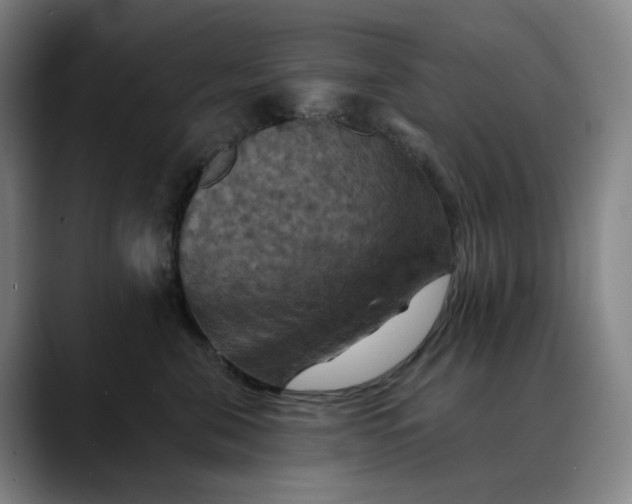 X0000088690571200706141414