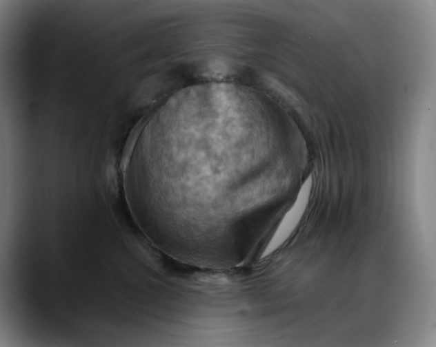 X0000088690572200706141414