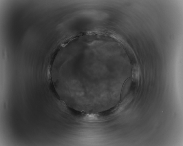 X0000088690573200706141414