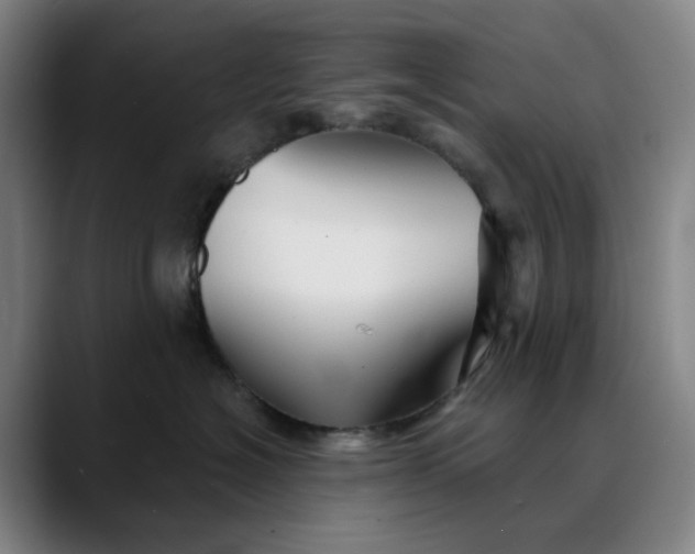 X0000088690574200706141414
