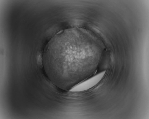 X0000088690575200706141414