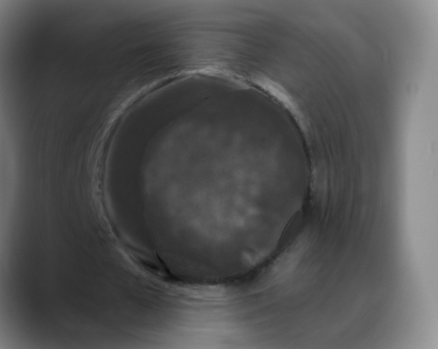 X0000088690577200706141414