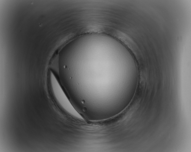 X0000088690578200706141414