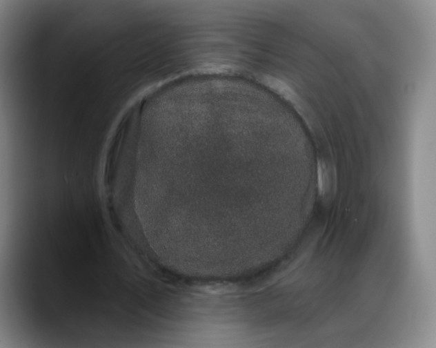 X0000088690579200706141414