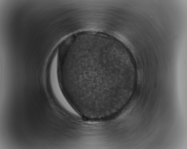 X0000088690580200706141414