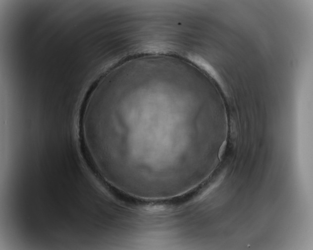 X0000088690581200706141414