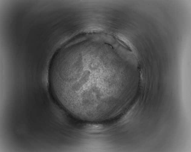 X0000088690582200706141414