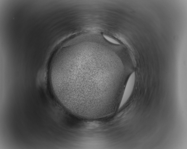 X0000088690583200706141414
