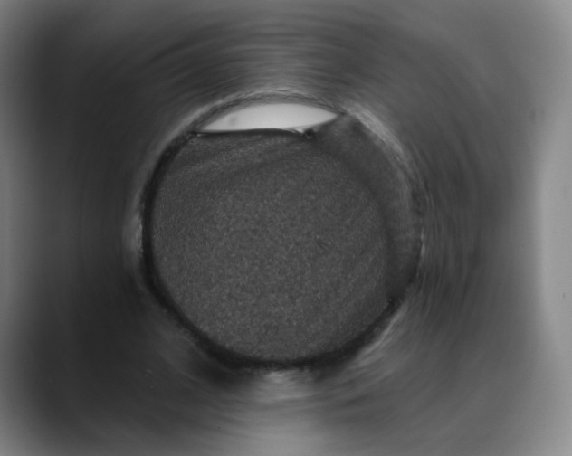 X0000088690584200706141414