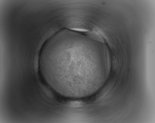 X0000088690586200706141414