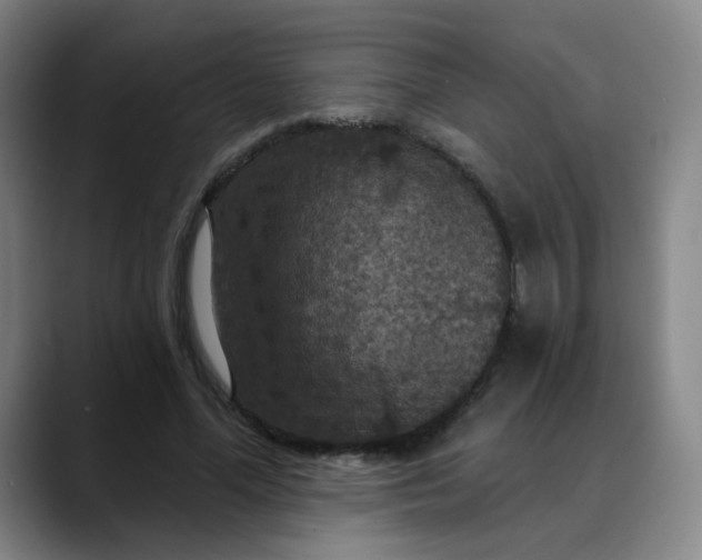 X0000088690588200706141414