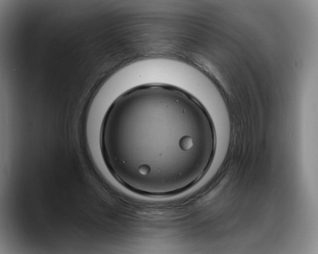 X0000088690589200706141414