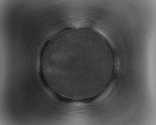 X0000088690590200706141414