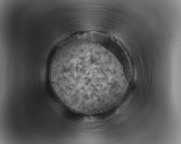 X0000088690591200706141414