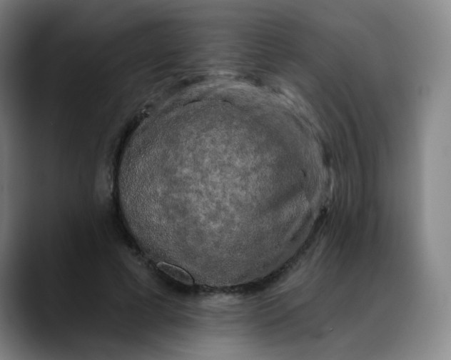 X0000088690593200706141414
