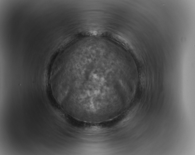 X0000088690594200706141414