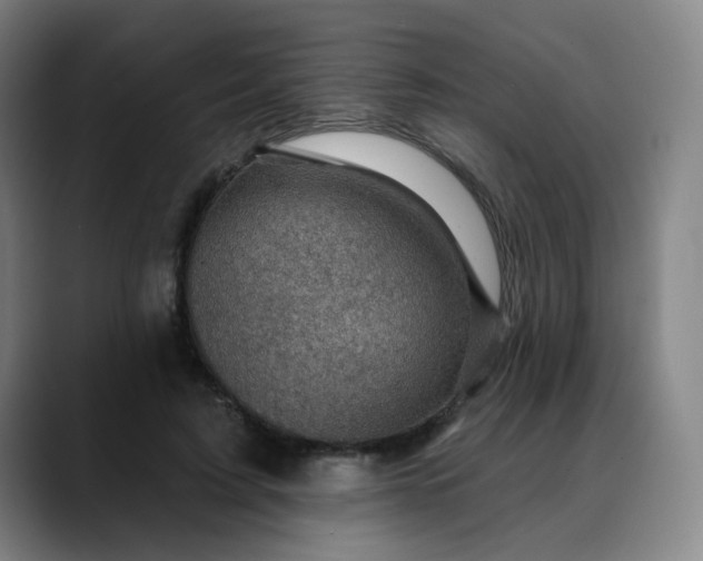 X0000088690595200706141414