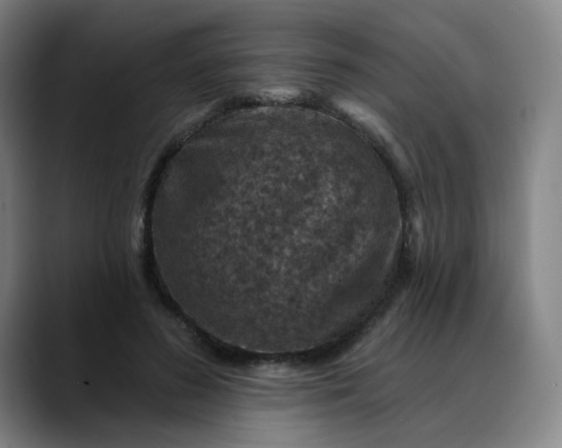 X0000088690596200706141413