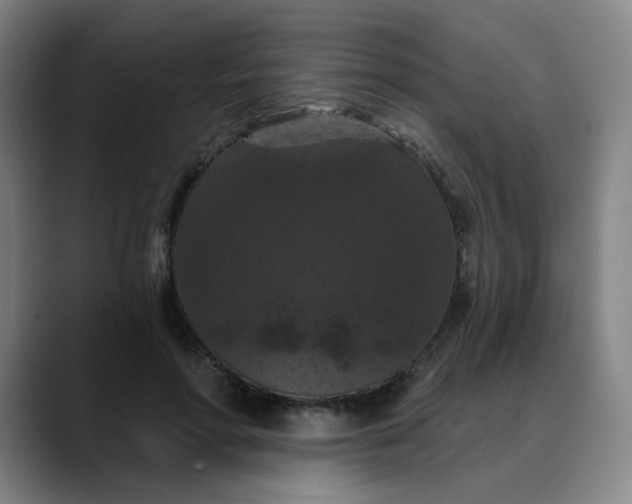 X0000088690598200706141413