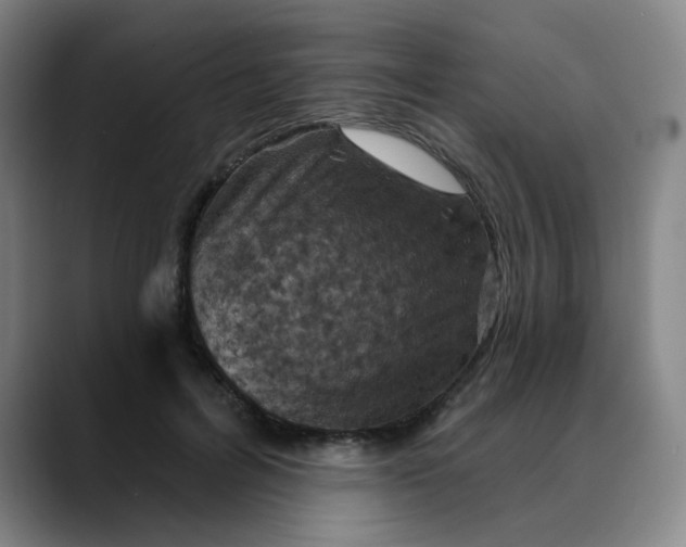 X0000088690600200706141413