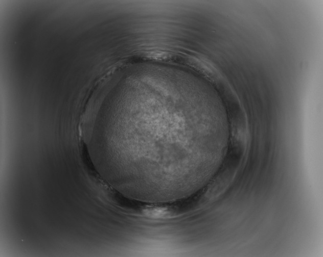 X0000088690602200706141413