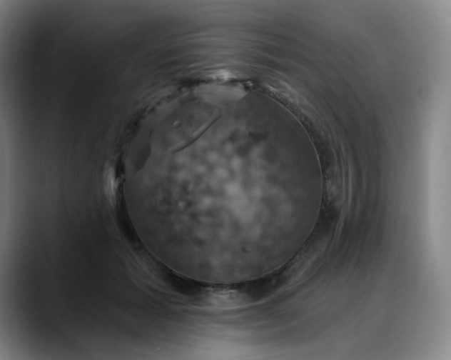 X0000088690605200706141413