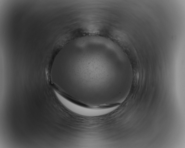 X0000088690609200706141413