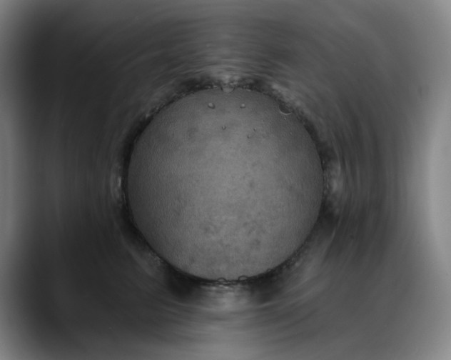 X0000088690615200706141413