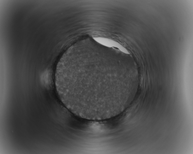 X0000088690616200706141413