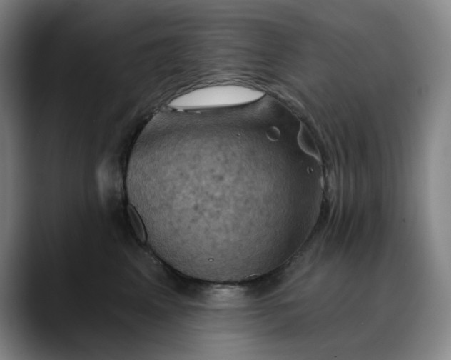 X0000088690617200706141413