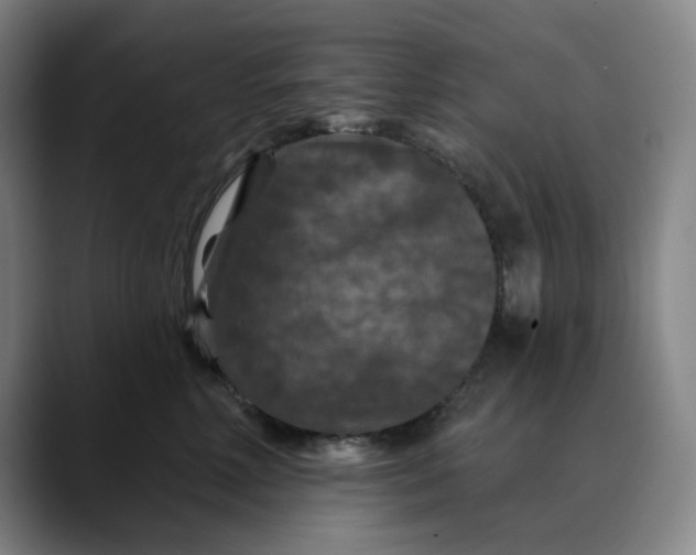 X0000088690618200706141413