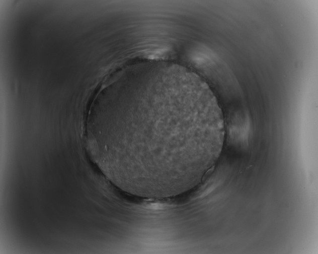 X0000088690620200706141413