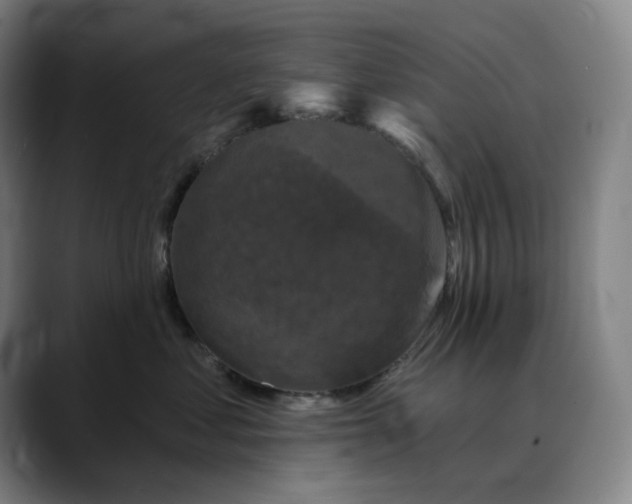 X0000088690621200706141413
