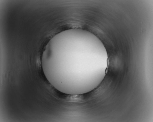 X0000088690622200706141413