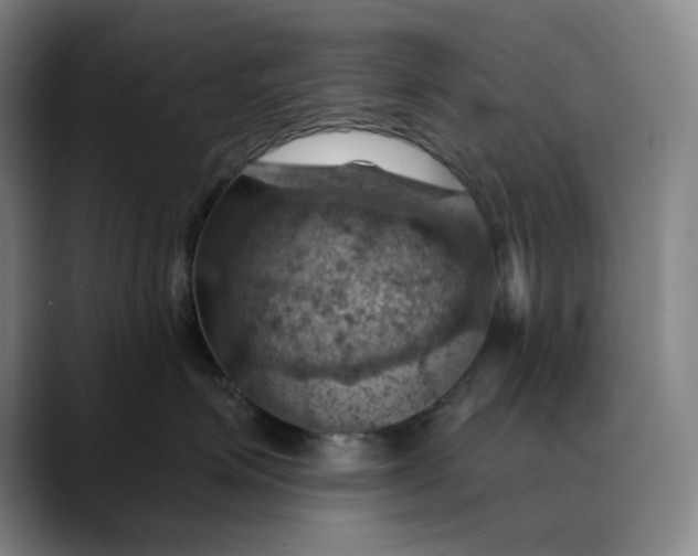 X0000088690623200706141413