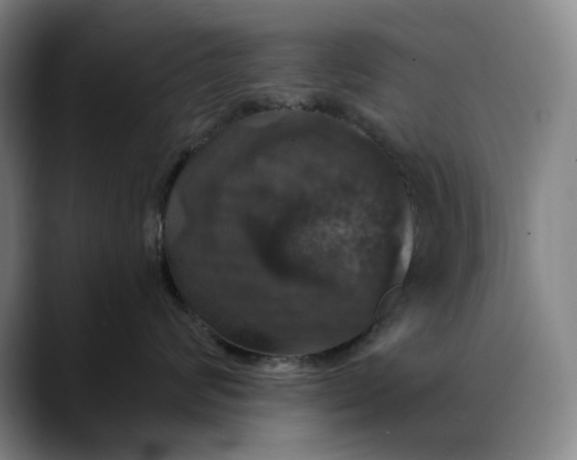 X0000088690624200706141413